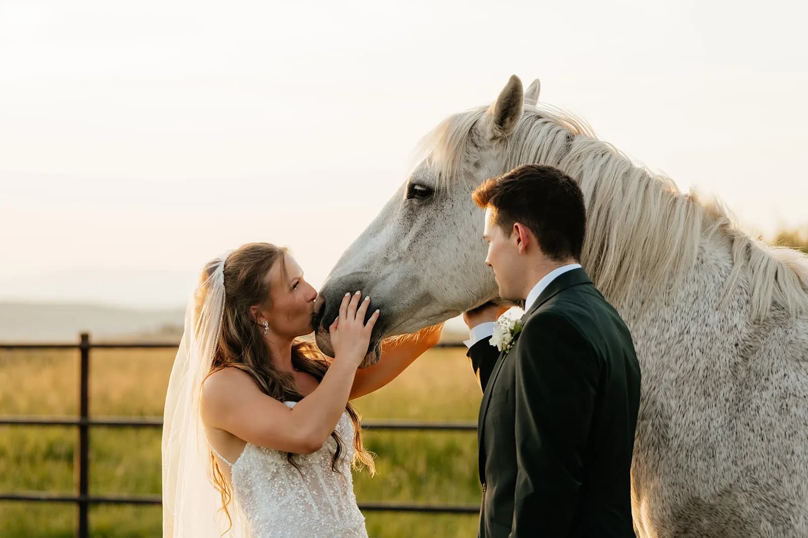 Bride affectionately kissing white horse